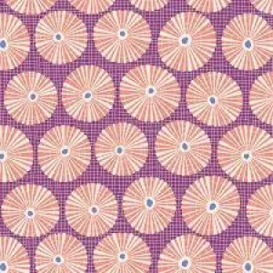 Cotton Beach Limpet Shell Lilac