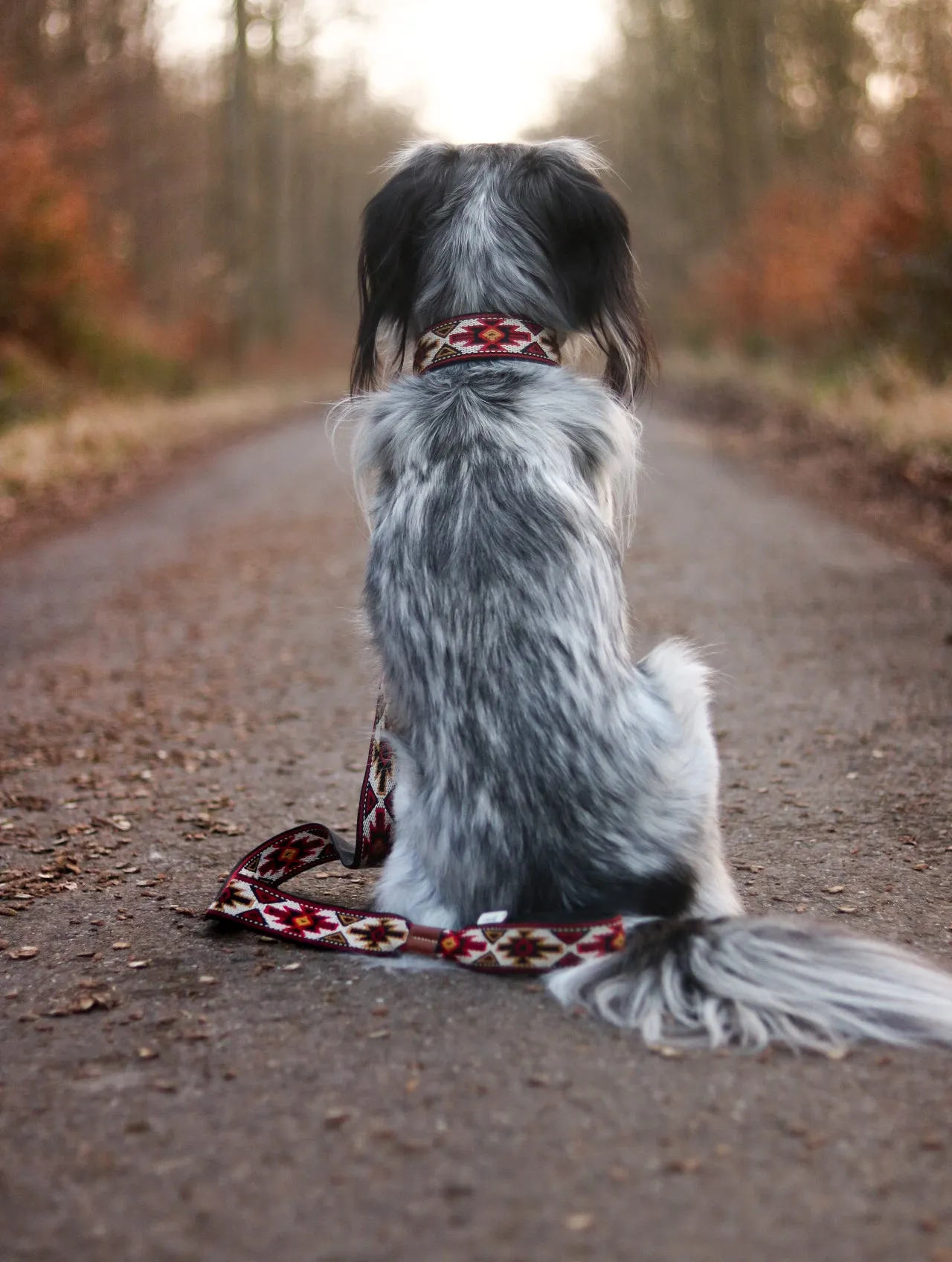 Dog Lead: Peyote Rojo