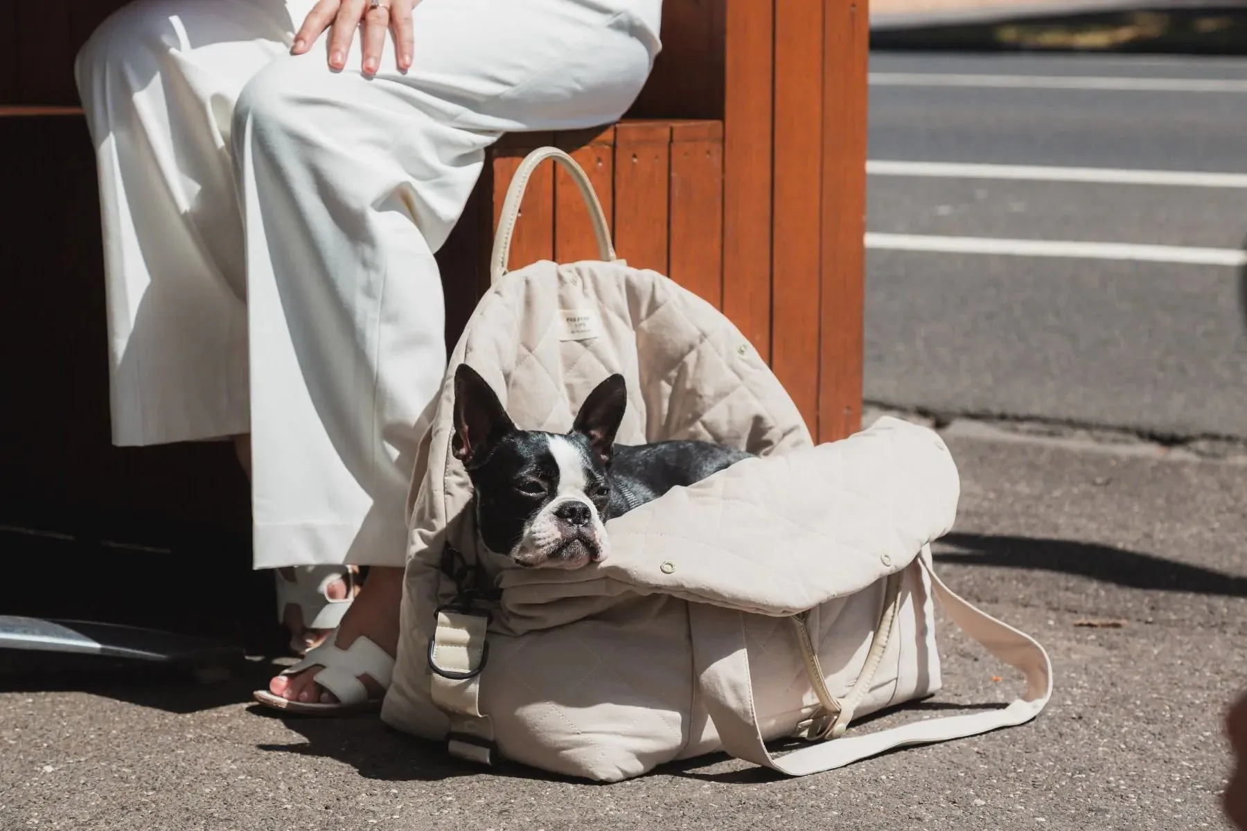 FuzzYard Life Multipurpose Carrier and Car Seat Sandstone