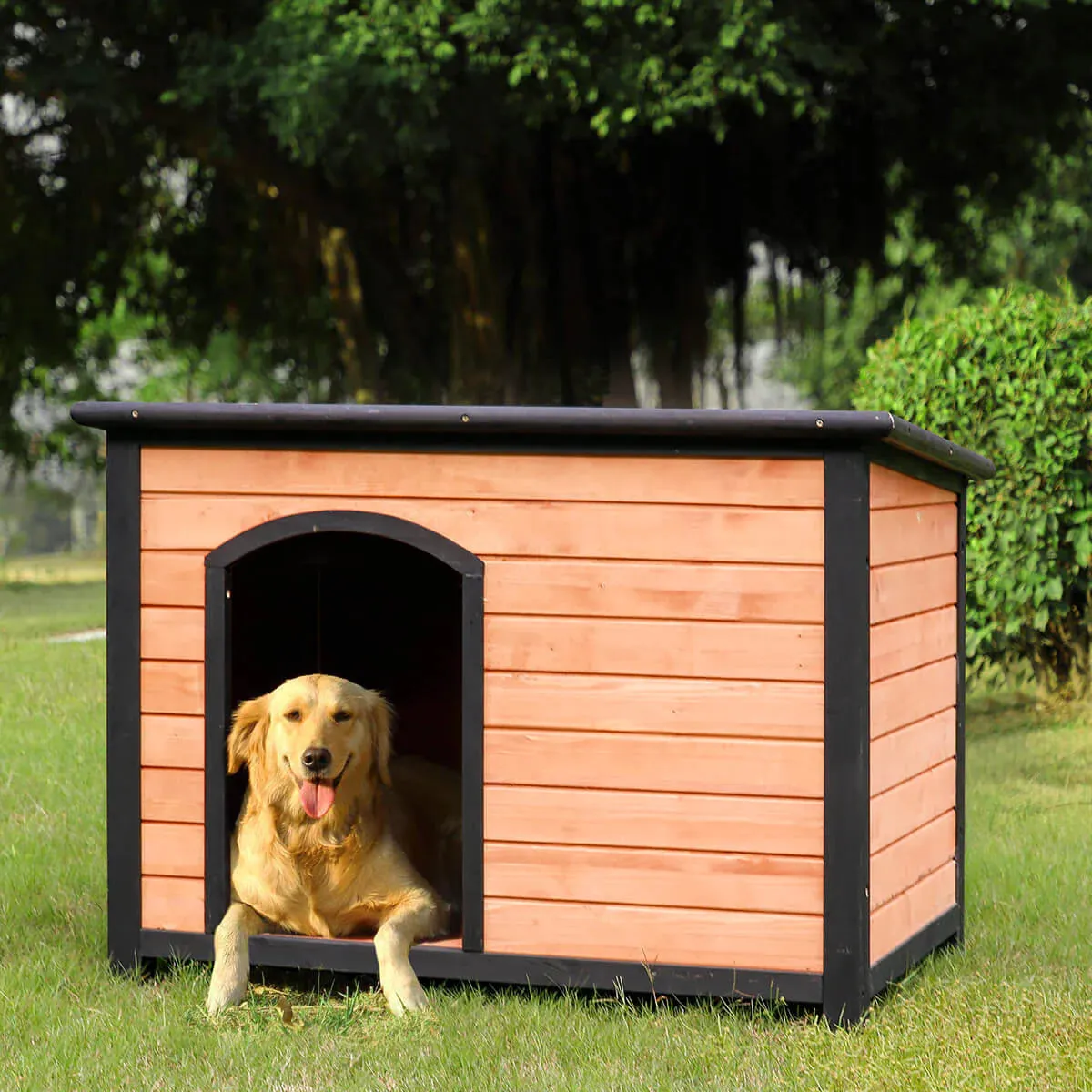 HOMREST 46" Wooden Doghouse Outdoors Sturdy Spacious Waterproof