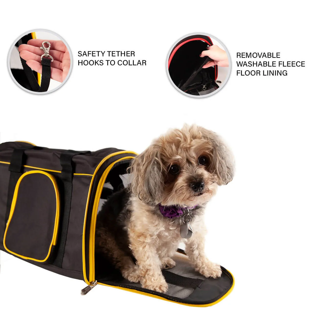 Louisville 16" Premium Pet Carrier