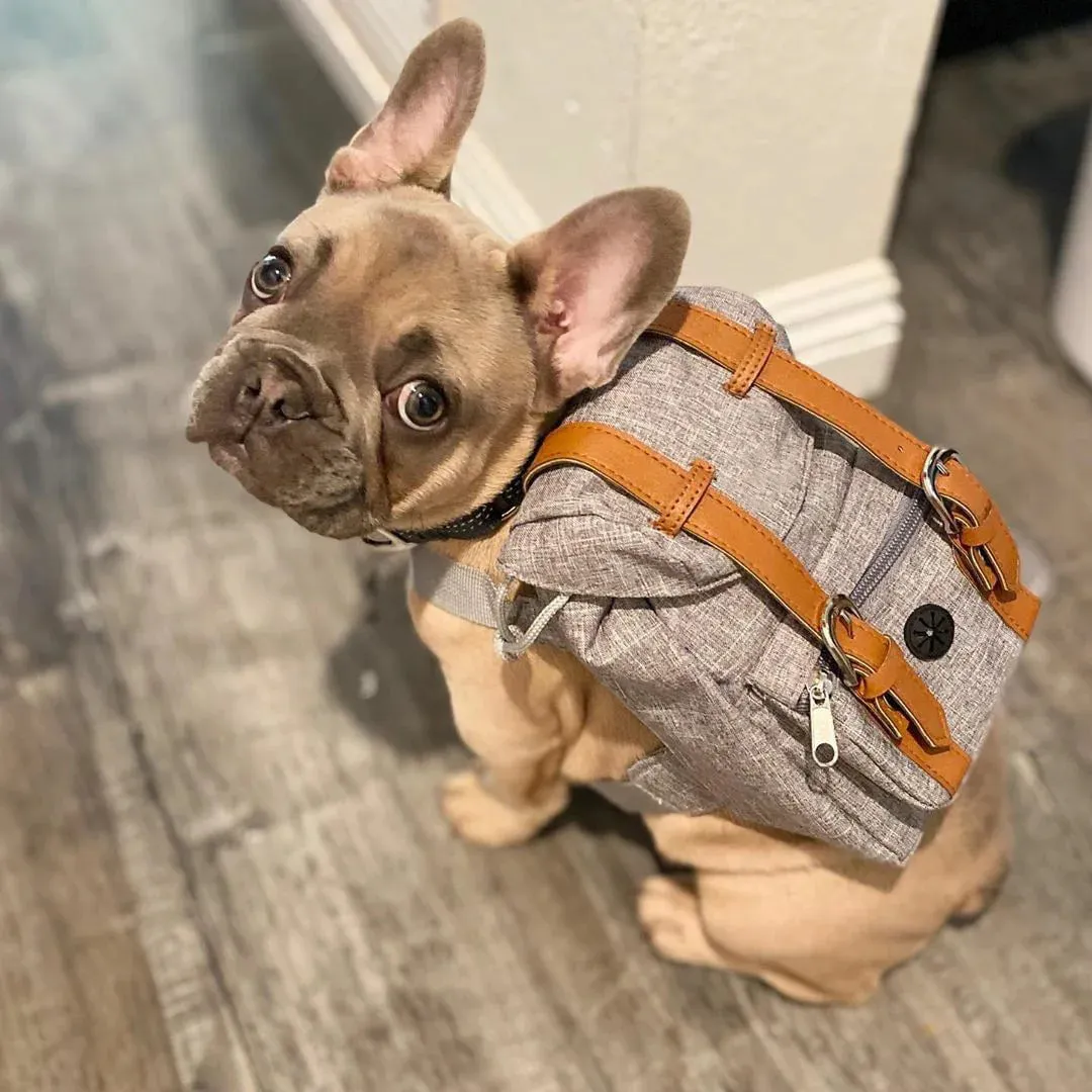 Schnauzer and French Bulldog Dog Bag - Self Backpack - Small Schoolbag Style Denim Dog Backpack - Backpack for Dog Items