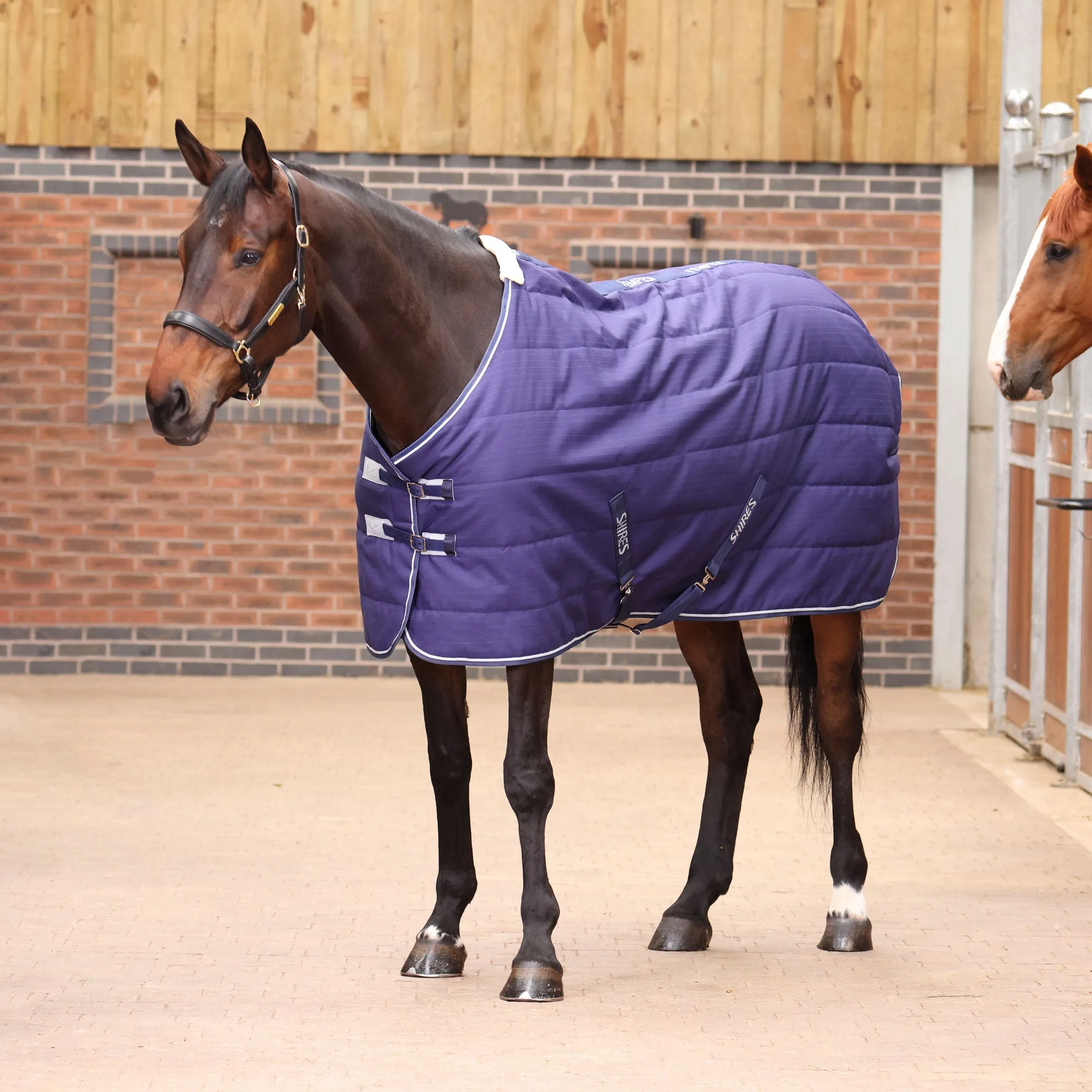 Shires Tempest Original 100g Stable Rug