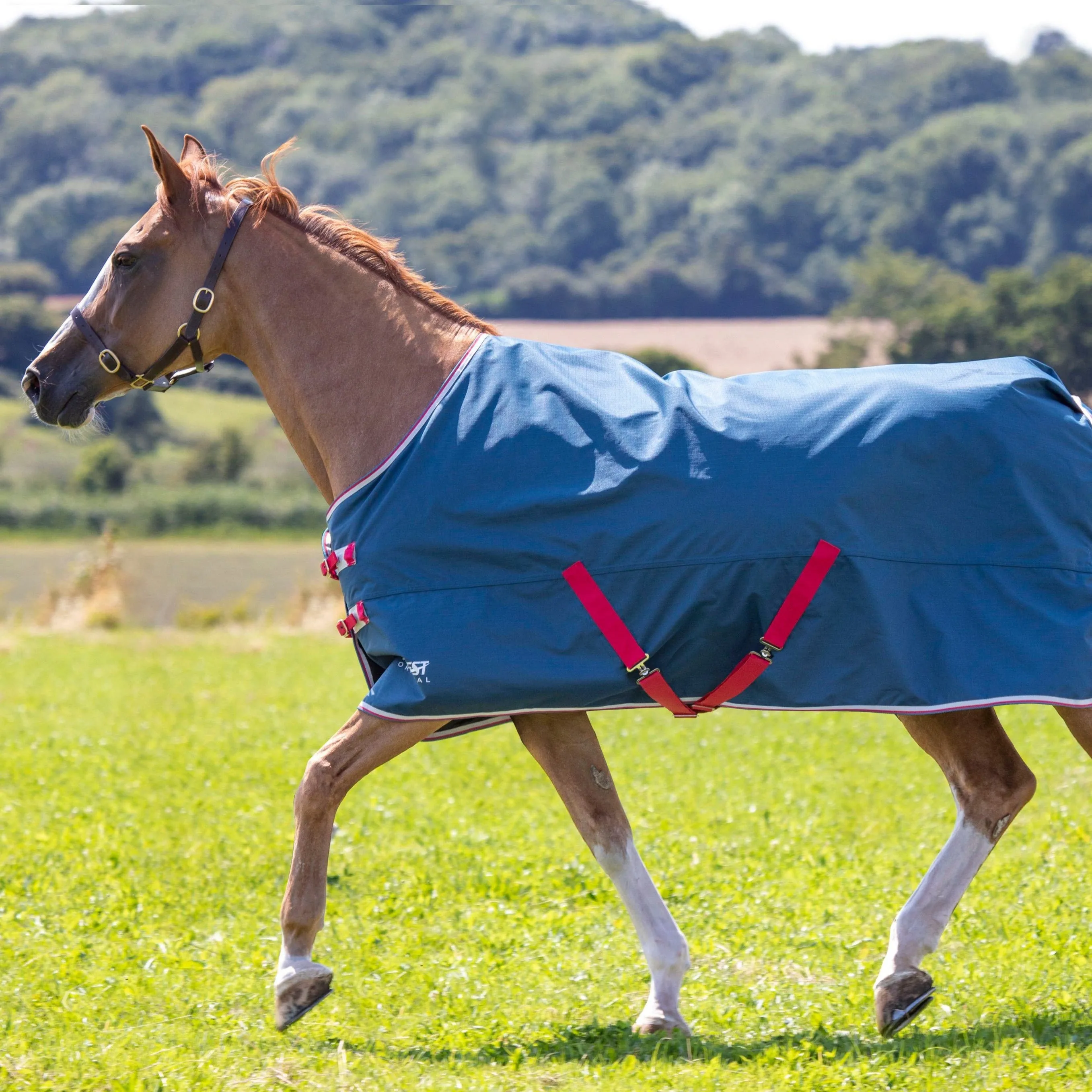 Shires Tempest Original Lite Turnout Rug