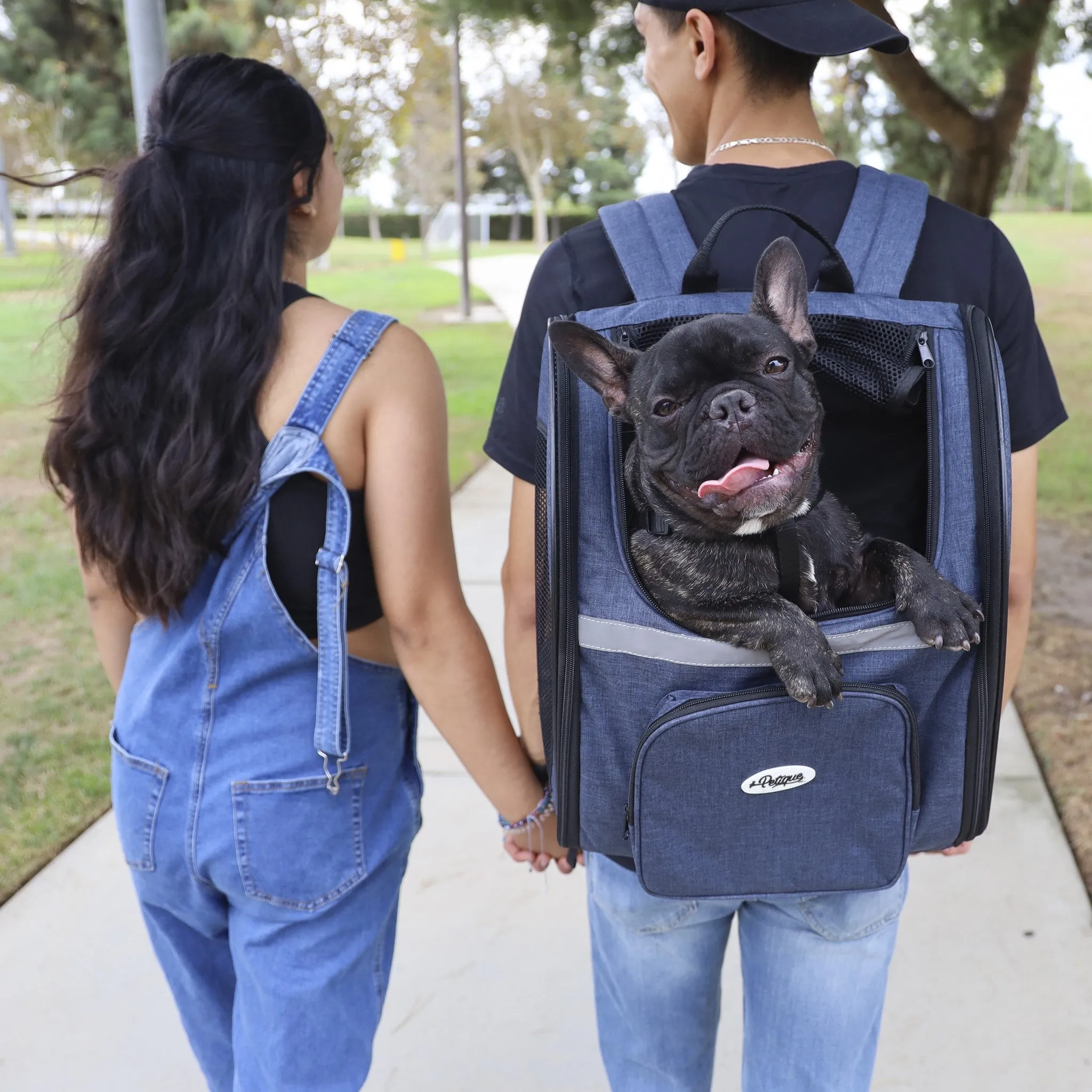 The Backpacker Pet Carrier - Glacier