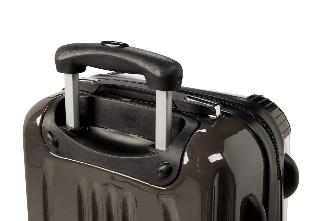 X-Ray Bird Suitcase / Luggage