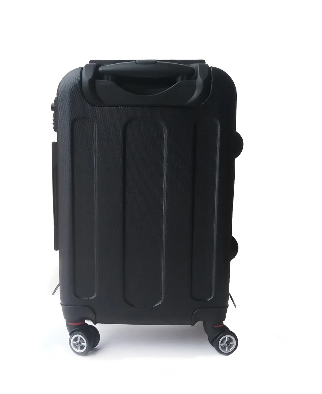 X-Ray Bird Suitcase / Luggage